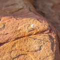 Pearl Crescent Moon Ring